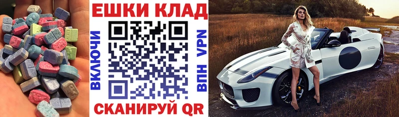 Ecstasy TESLA  Холм 