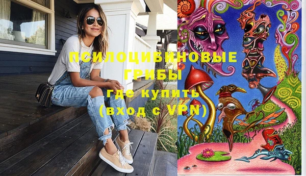 не бодяженный Абаза
