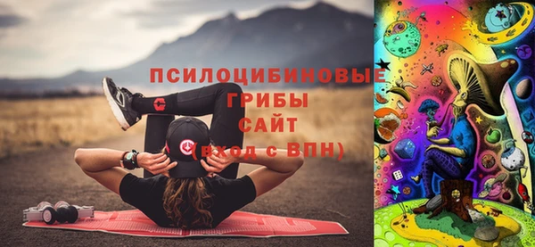тгк Абинск